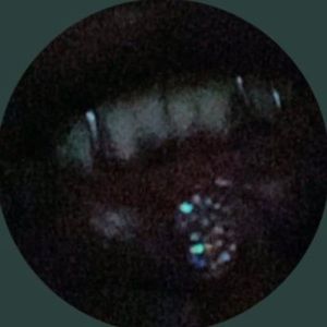 Meet your Posher, Ziyan